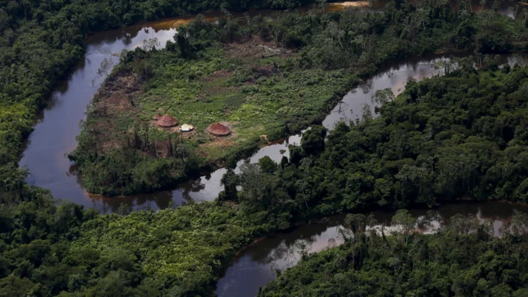 Garimpo ilegal em Terra Indígena Yanomami tem prejuízo de R$ 477 milhões