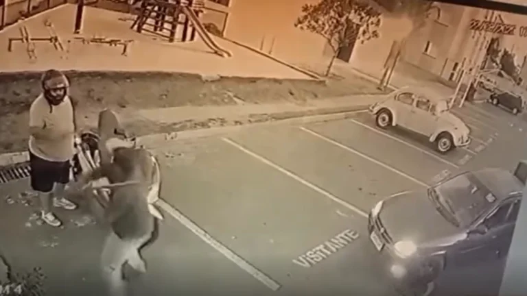 Vídeo: morador agride síndico com barra de ferro após multa em SP