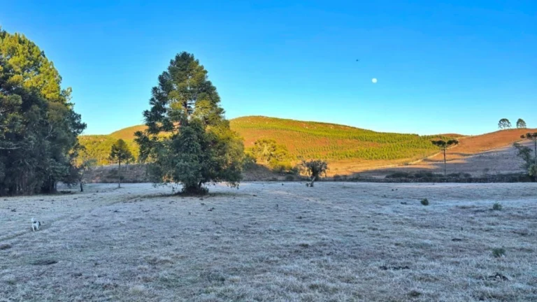 Frente fria: início da semana será de temperaturas baixas no Sul e Sudeste