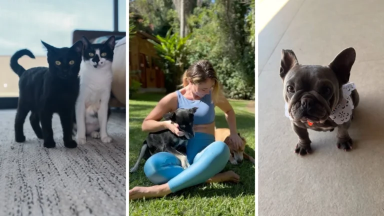Paolla Oliveira brinca ao lado dos pets em novos registros; veja