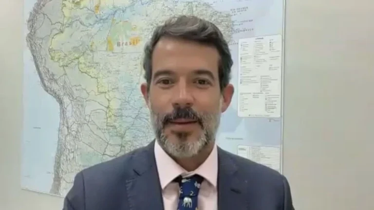 TFFF: um mecanismo inovador para conservar florestas tropicais para sempre