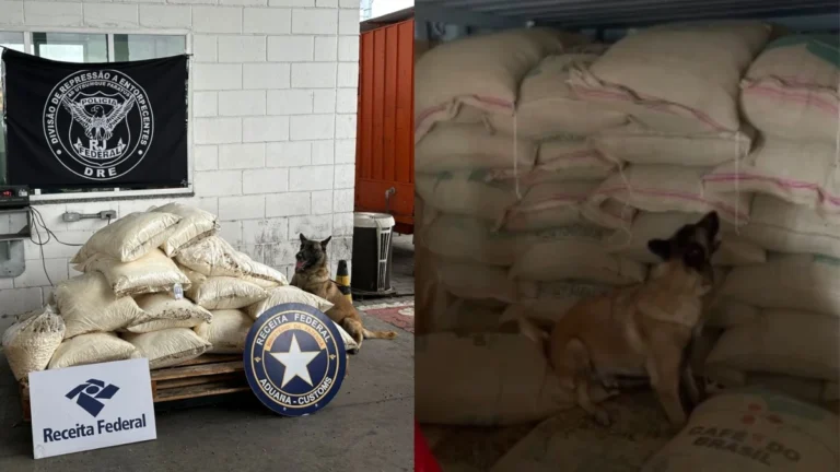 PF apreende meia tonelada de cocaína escondida em carga de café no RJ