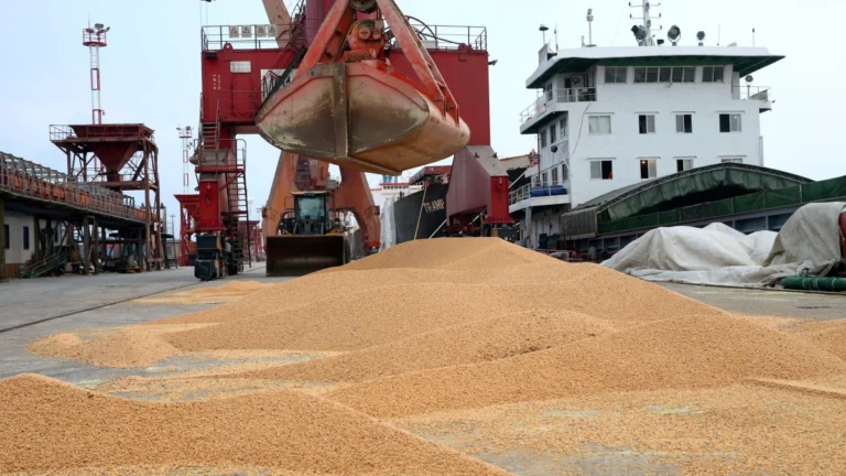 EUA: Colheita da soja começa com 0 kg vendido à China e Brasil ocupa espaço