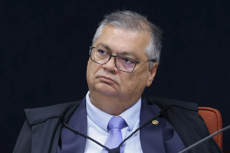 Dino diz que STF não quer limitar polícia, mas não pode aceitar vale-tudo