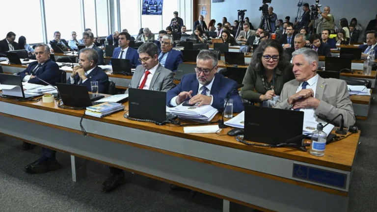 Em depoimento à CPMI, Tonia Galleti critica números da auditoria da CGU