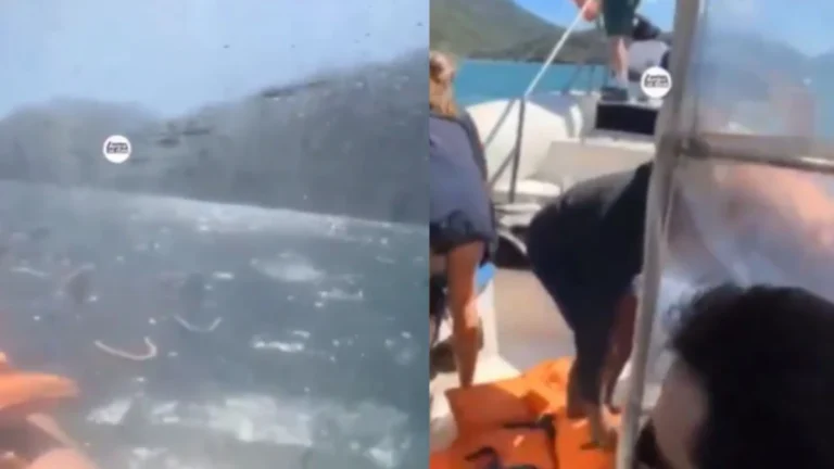 Vídeo: Barco com 21 pessoas a bordo naufraga em Angra dos Reis (RJ)