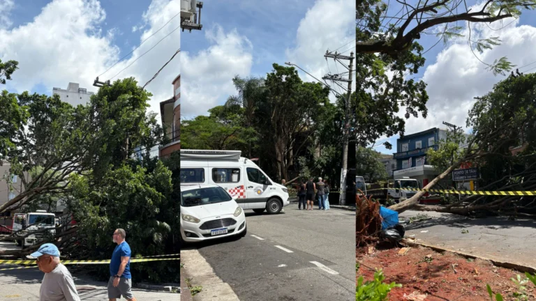 Parques são fechados em SP após ventania com rajadas de 96 km/h
