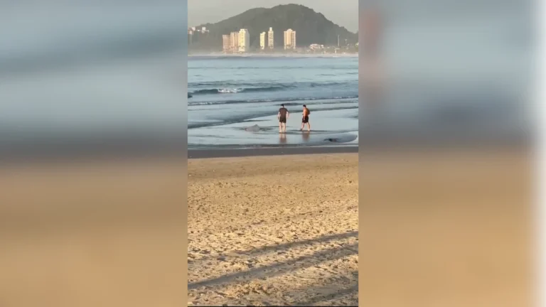 Vídeo: Militar do exército mata assaltante em praia do litoral paulista