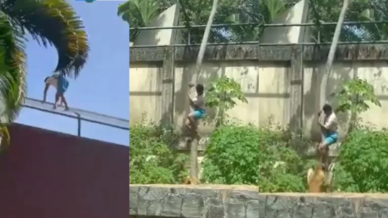 Leoa atacou jovem pelo pescoço, mas não comeu corpo, diz laudo do IML