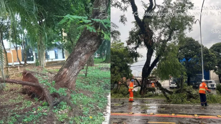 Temporal provoca transtornos e deixa ferido em São Paulo