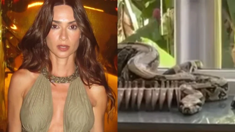 Desespero! Thaila Ayala encontra cobra dentro de casa e chama os bombeiros