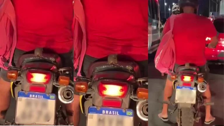 Rato é flagrado “pegando carona” em moto no trânsito do Ceará; veja vídeo