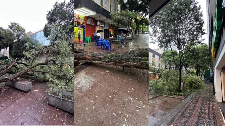 Governo Federal reconhece emergência em cidades de MG; Inmet alerta