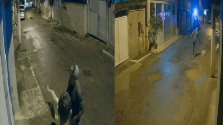 RJ: Cachorro é morto a tiros por vizinho em Magé