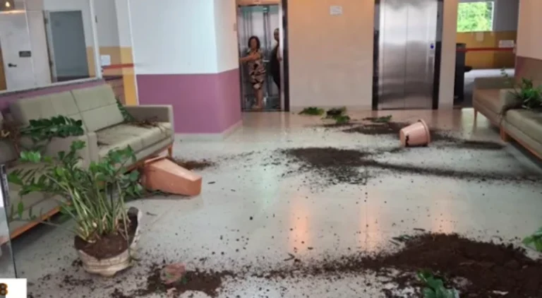 Mãe de corretora morta se revolta e destrói hall de prédio após síndico ser preso como suspeito
