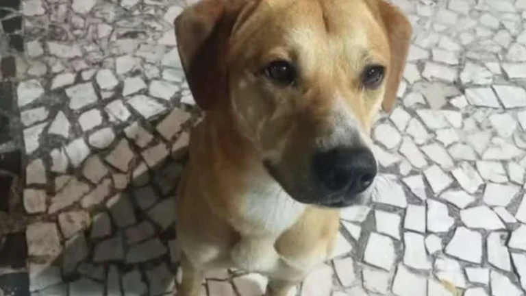 Família de adolescente citado no caso Caramelo vive terror e danos na saúde; veja