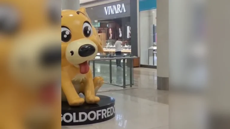 Vídeo mostra negociação de policial com ex que matou mulher em shopping