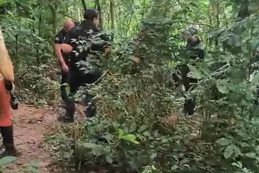 Ossadas são encontradas próximas à Represa Billings, em SP