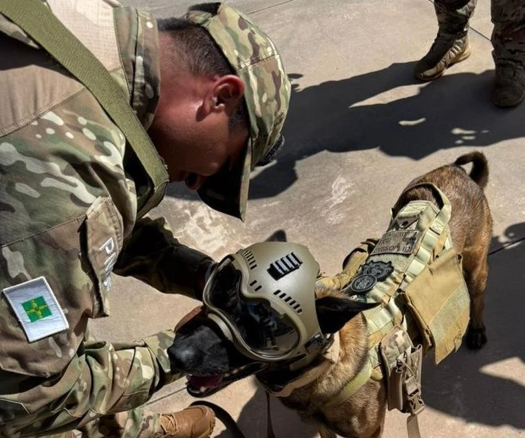 Suspeita de bomba na Esplanada dos Ministérios mobiliza “cão com capacete”
