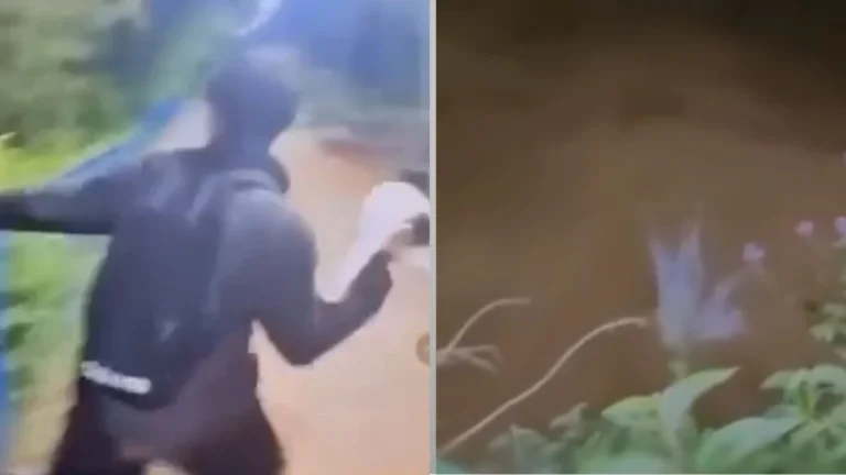 Vídeo: adolescente é investigado após jogar gata em rio no interior de SP