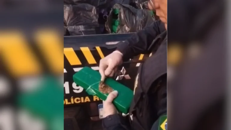 Após acidente, PRF encontra maconha em caminhão que transportava cosméticos