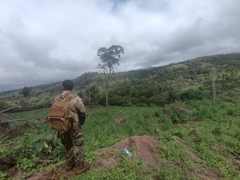Operação da PF combate narcotráfico na fronteira com Paraguai