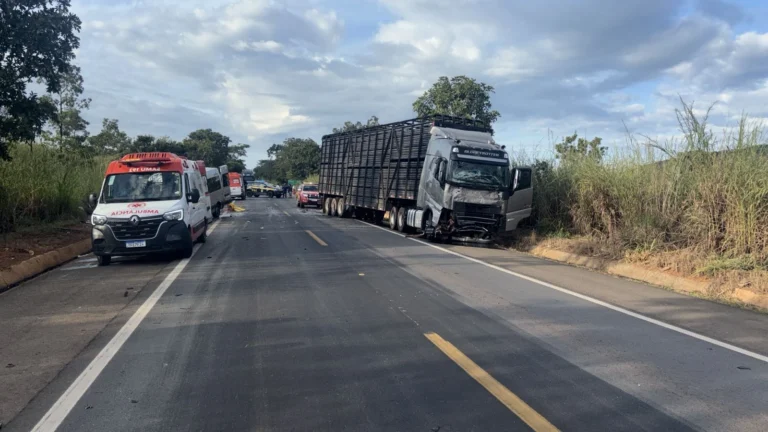 Oito pessoas morrem em acidente com três veículos na BR-020, em Goiás