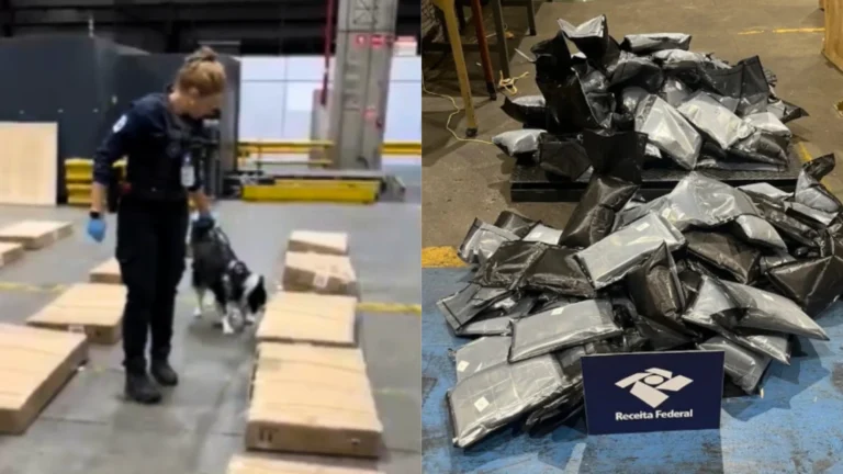 Mais de 280 kg de haxixe vindo dos EUA são apreendidos em aeroporto de SP