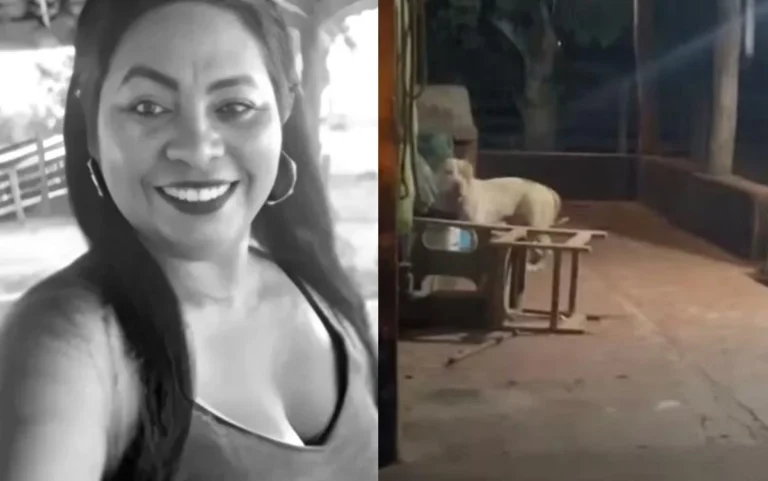 Vídeo: Bombeiros relatam como encontraram mulher após ataque fatal de pitbull