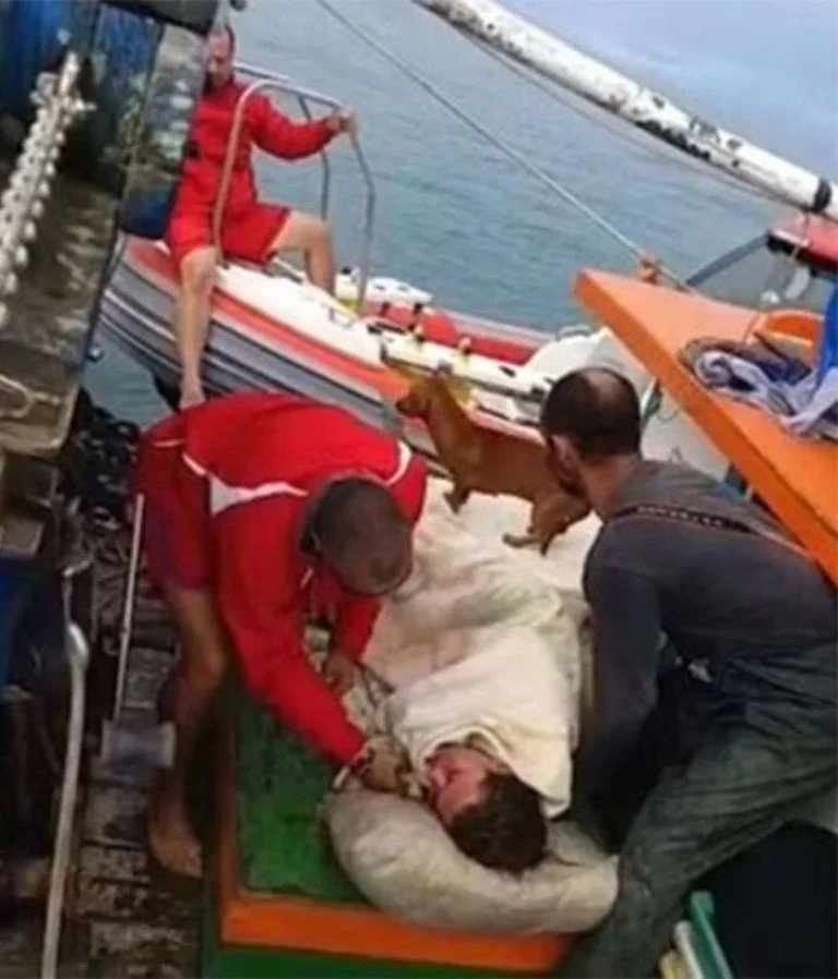 Jovem resgatada após 40 horas no mar não teve ferimentos graves: Incrível, diz diretor de hospital