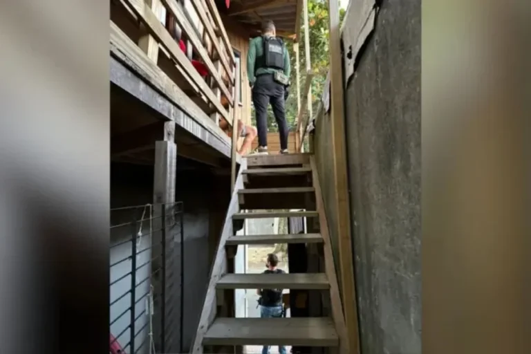 MP: médico falsificava atestados para tirar detentos do presídio em SC