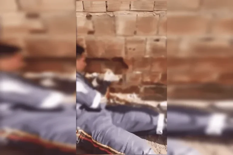 Recém-nascido abandonado em vala entre muros morre após ser resgatado