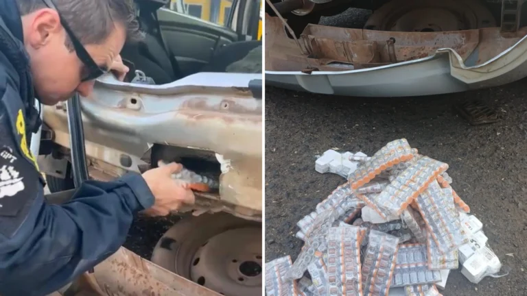 Polícia encontra 2 mil ampolas de emagrecedoras em para-choque de carro
