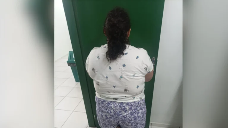 Mulher de 37 anos finge ser adolescente e é presa um ano após adoção em SC