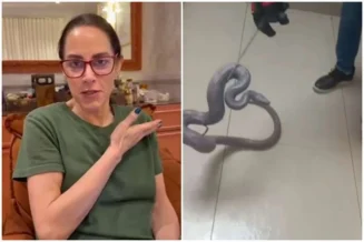 Silvia Abravanel comemora reencontro com cobra de estimação desaparecida há 5 meses