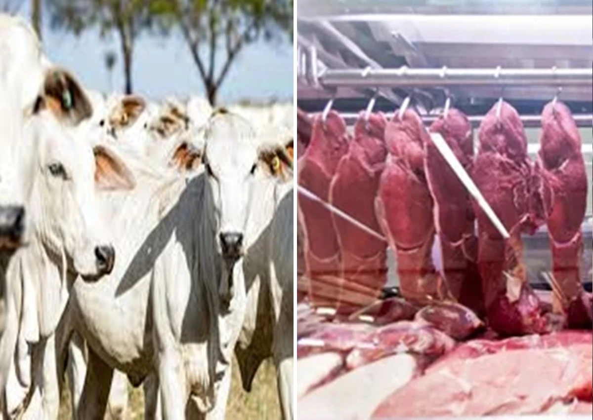 União Europeia fecha portas para carne do Brasil e medida entra em vigor em setembro
