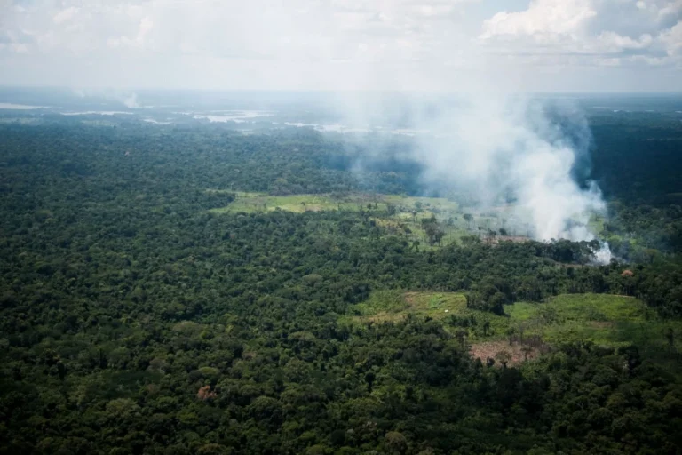 El Niño pode agravar seca e mobiliza força-tarefa na Amazônia