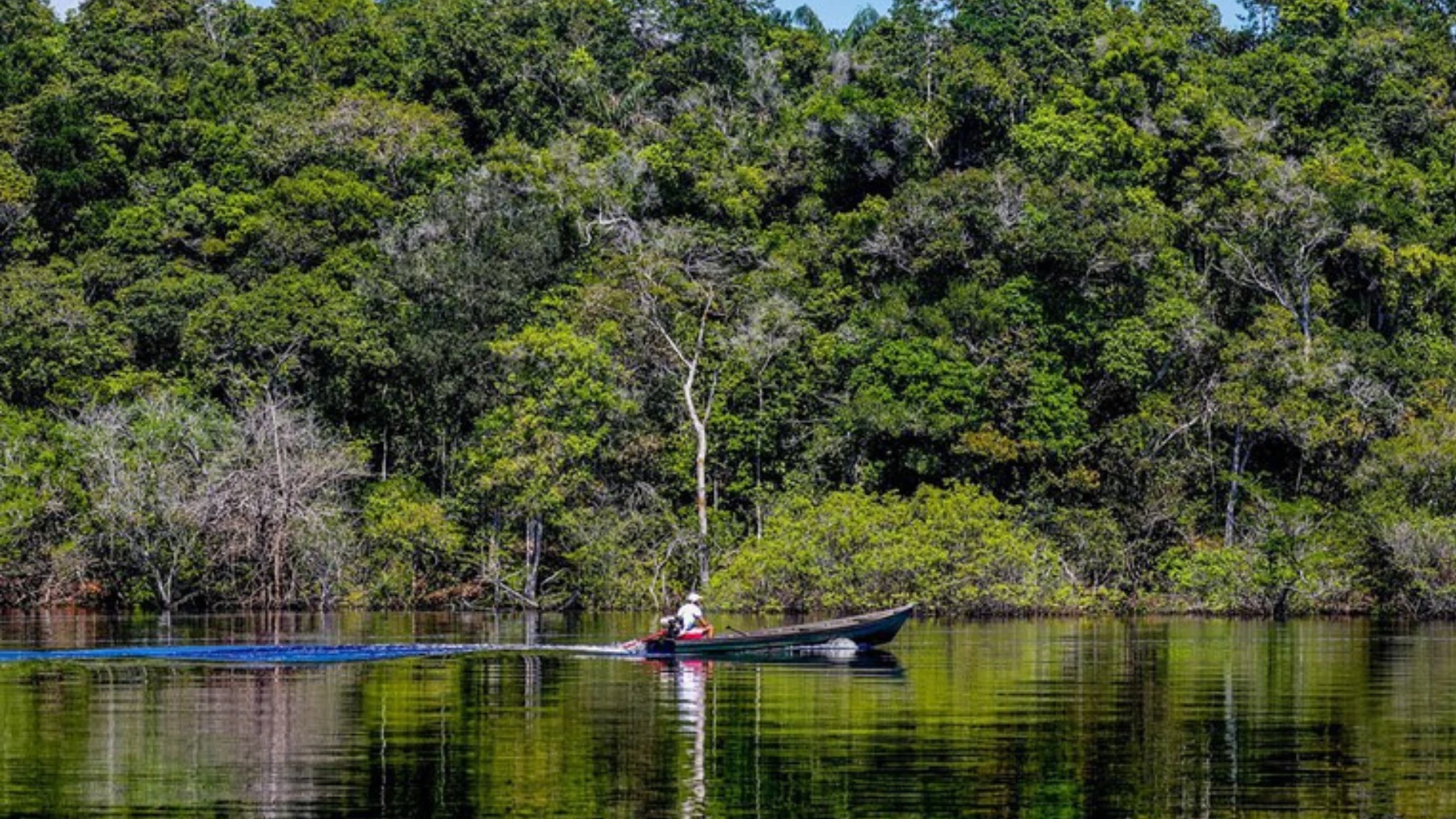 Inpe: Amazônia tem menor nível de desmatamento no 1º semestre em dez anos