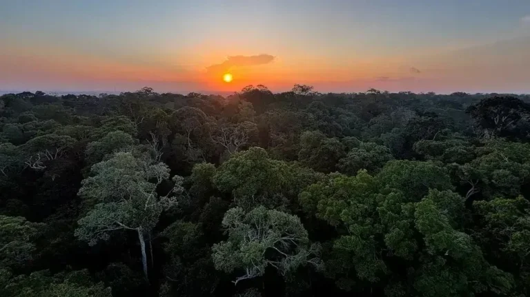 Plano de Transformação Ecológica eleva recursos do Fundo Clima em 316 vezes