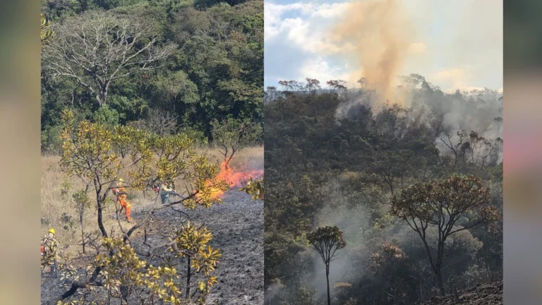 BH registra segundo incêndio após 10 dias na região da Serra do Gandarela 
