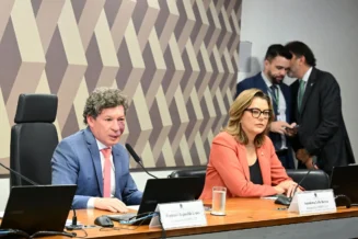 Relatora chega a acordo para destravar MP da taxa das blusinhas