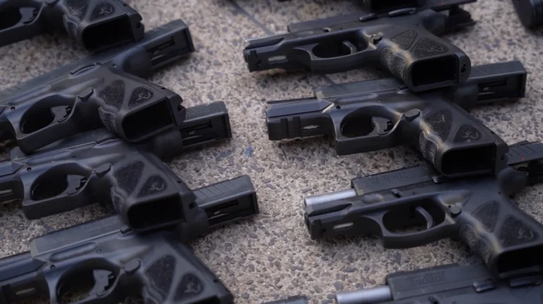 Dados ISP: feminicídios crescem 86% e mais de 4 mil armas são apreendidas