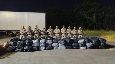 Caminhoneiro sem CNH é apreendido com uma tonelada de maconha na Bahia