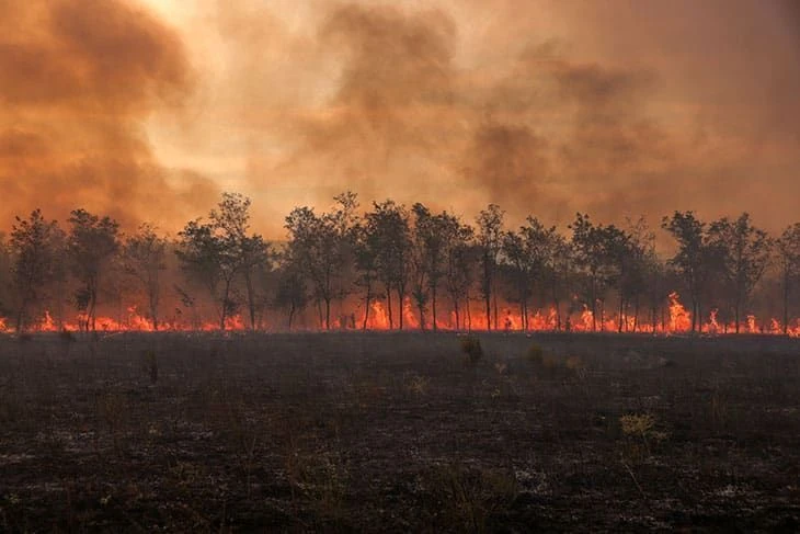 Tempestades de calor se tornam mais frequentes, atingem 85% do planeta e provocam mortes, incêndios e secas